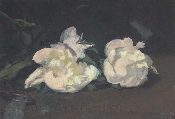 Edouard Manet Branch of White Peonies and Shears (mk40) Spain oil painting art